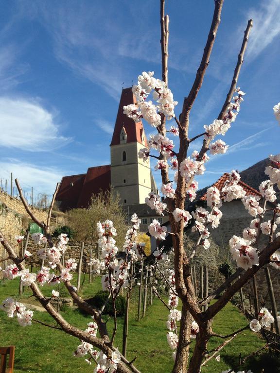 Gaestehaus Haiminger Ehemalig Schmelz Weißenkirchen in der Wachau Buitenkant foto