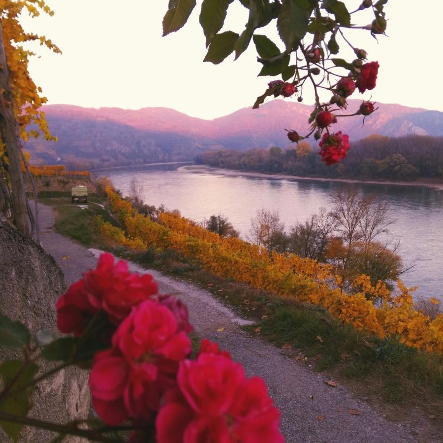Gaestehaus Haiminger Ehemalig Schmelz Weißenkirchen in der Wachau Buitenkant foto